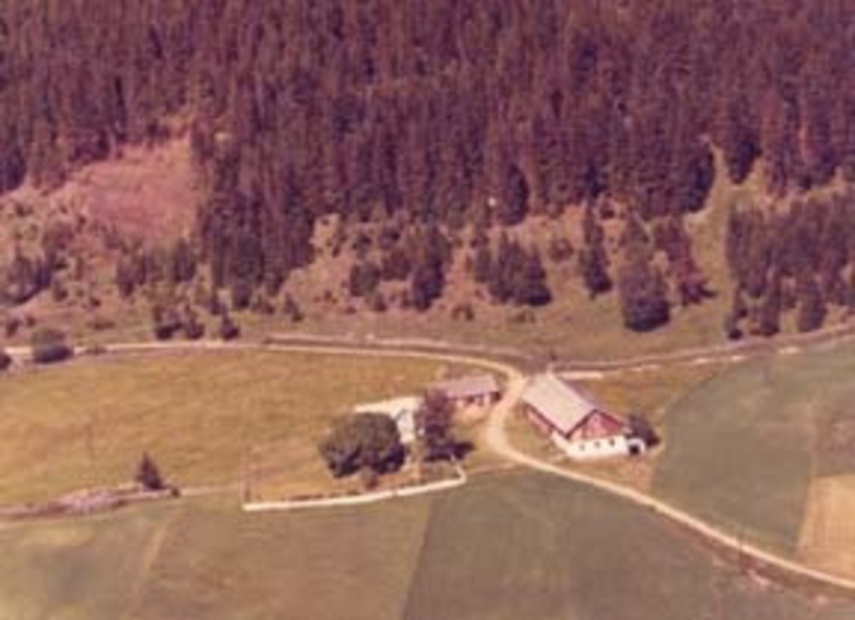 Widerøes Flyveselskap A/S, Flyfoto av Tåsåsen, Furnes, Ringsaker.