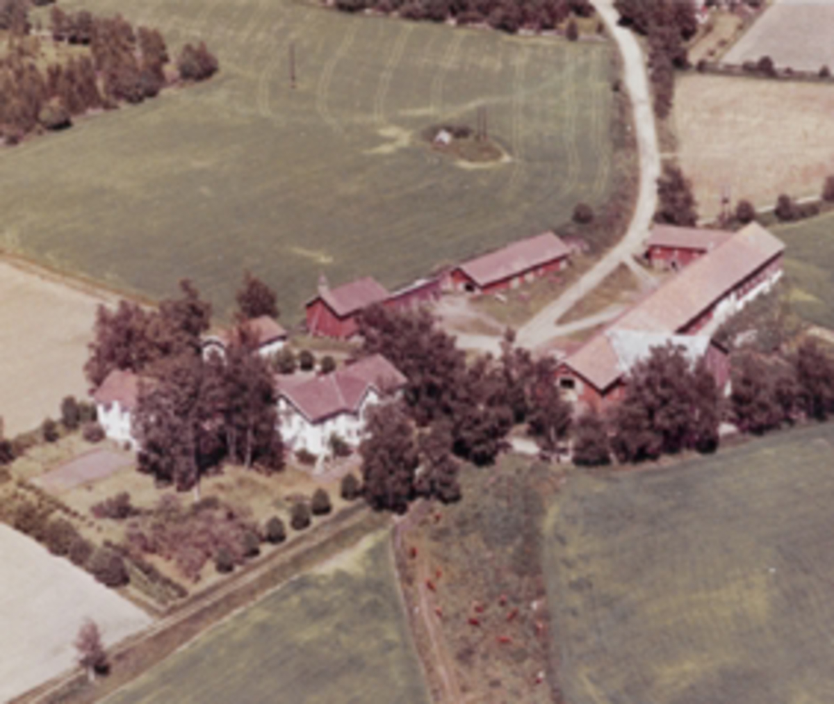 Widerøes Flyveselskap A/S, Flyfoto av Skjellungberg gard, Furnes, Ringsaker.