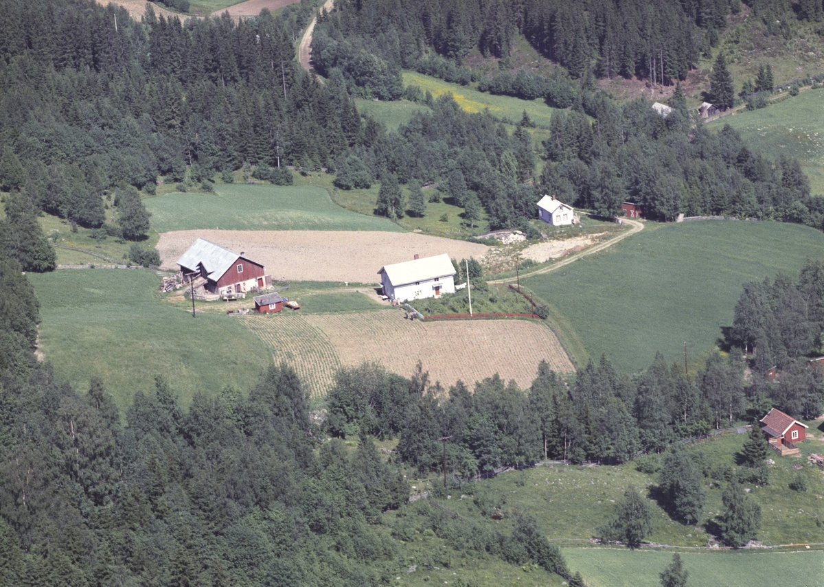 Widerøes Flyveselskap A/S, Flyfoto av Finstad og Hol (tilhører Finstad), Furnes, Ringsaker. Borgen i høyre bildekant.