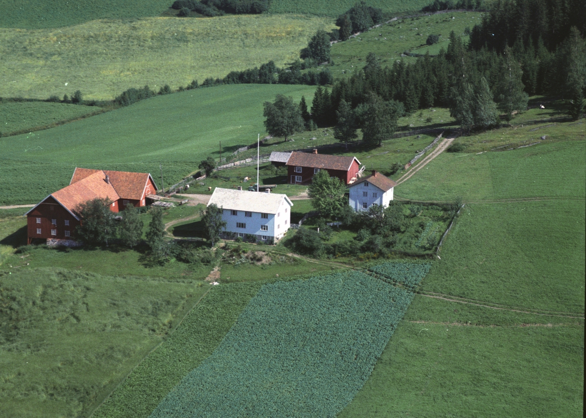 Widerøes Flyveselskap A/S, Flyfoto av Svartungstad gard, Ring, Ringsaker.