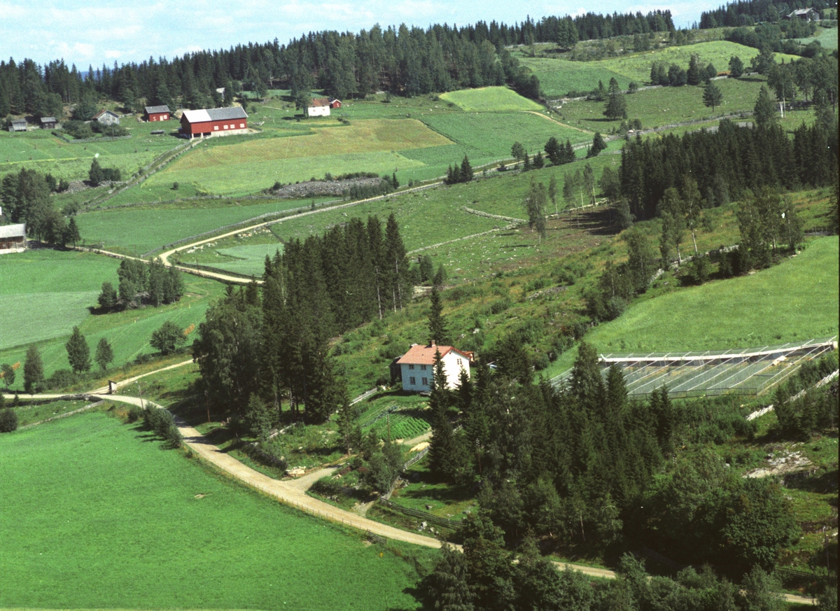 Widerøes Flyveselskap A/S, Flyfoto av Granlia, landskap og bebyggelse ved Nordre Ringsveg, Ring, Ringsaker.