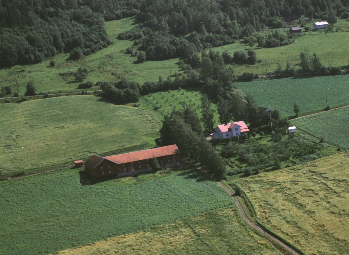 Widerøes Flyveselskap A/S, Flyfoto av Vellang gard, Ring, Ringsaker.