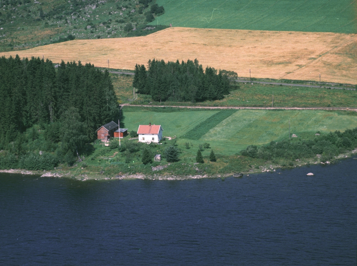 Widerøes Flyveselskap A/S, Flyfoto av Oddnes, Ring, Ringsaker.