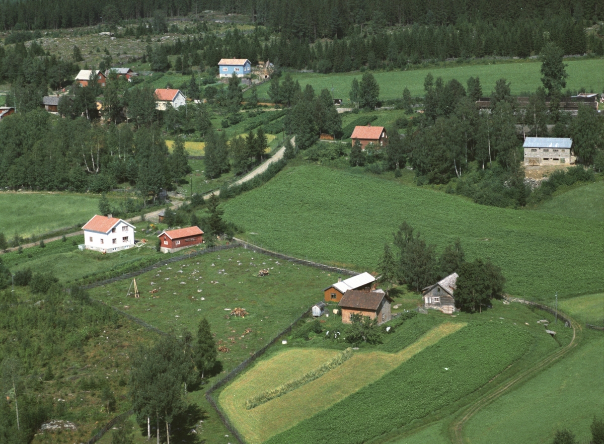 Widerøes Flyveselskap A/S, Flyfoto, Arnborg, Brøttum, Ringsaker.