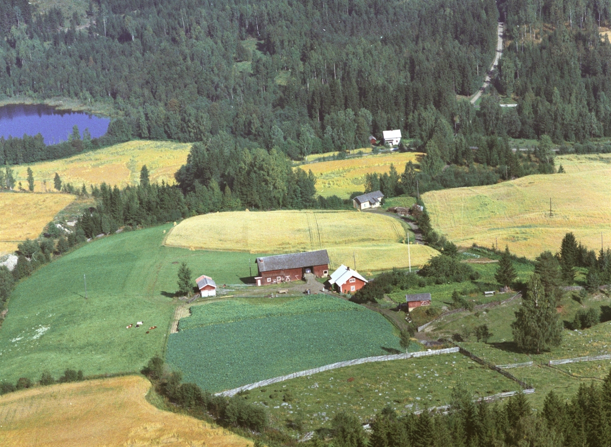 Widerøes Flyveselskap A/S, Flyfoto, Jønsrudødegården, Stensengdalen, Ringsaker.