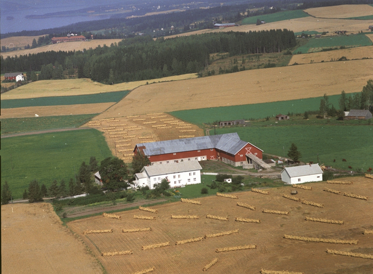 Widerøes Flyveselskap A/S, Flyfoto av Skjønsby gard, Gaupen, Ringsaker.