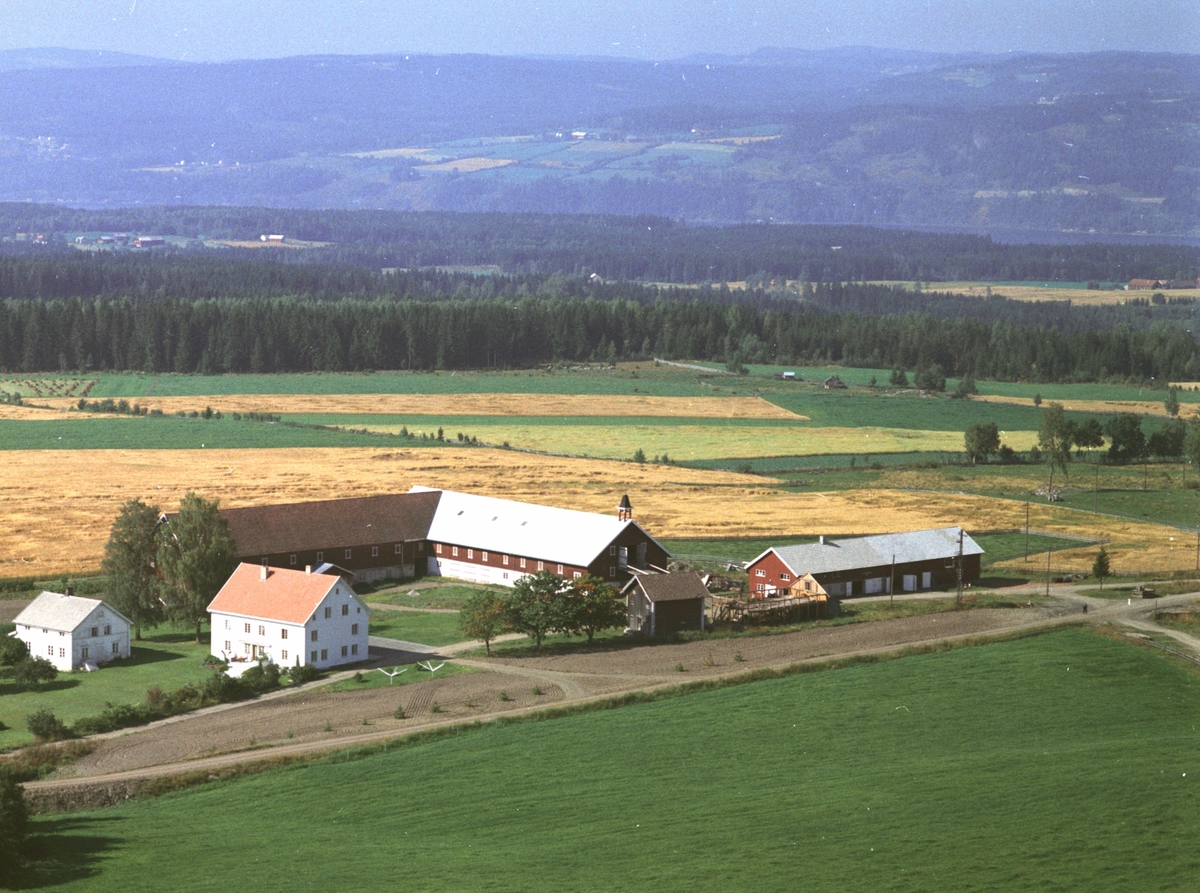 Widerøes Flyveselskap A/S, Flyfoto, Tørud gard, Gaupen, Ringsaker.