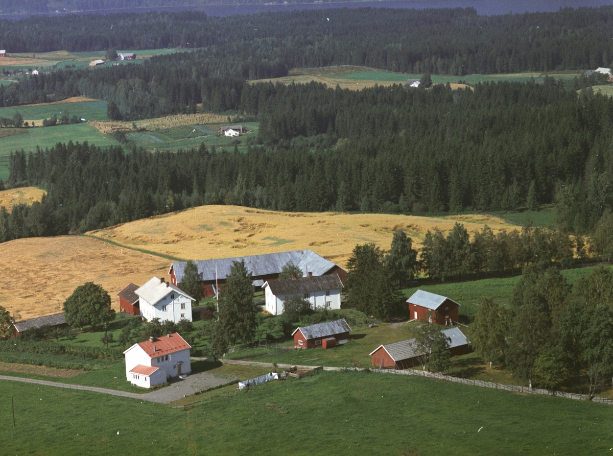 Widerøes Flyveselskap A/S, Flyfoto, Holo nordre, Gaupen, Ringsaker.