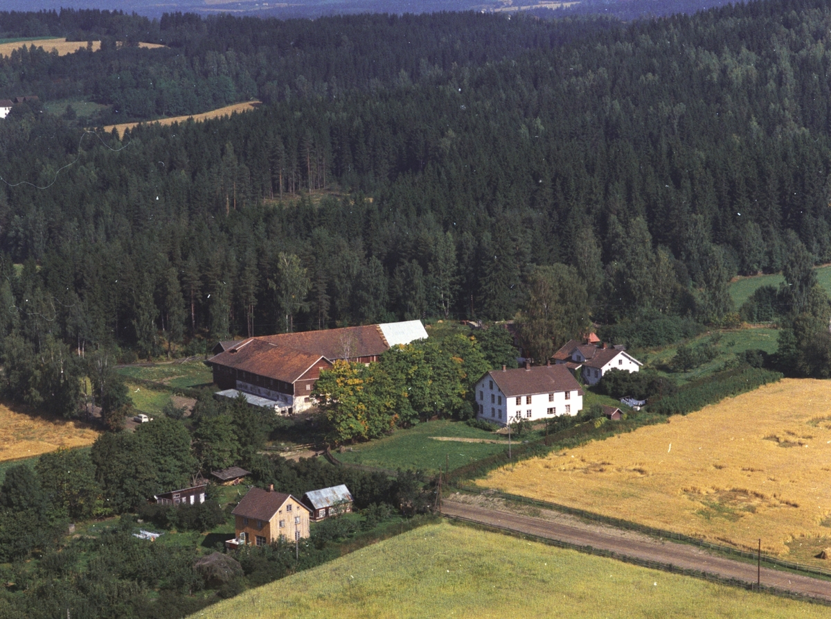 Anno Domkirkeodden, Flyfoto av Sendstad og Sendstad nedre, Nes, Hedmark.