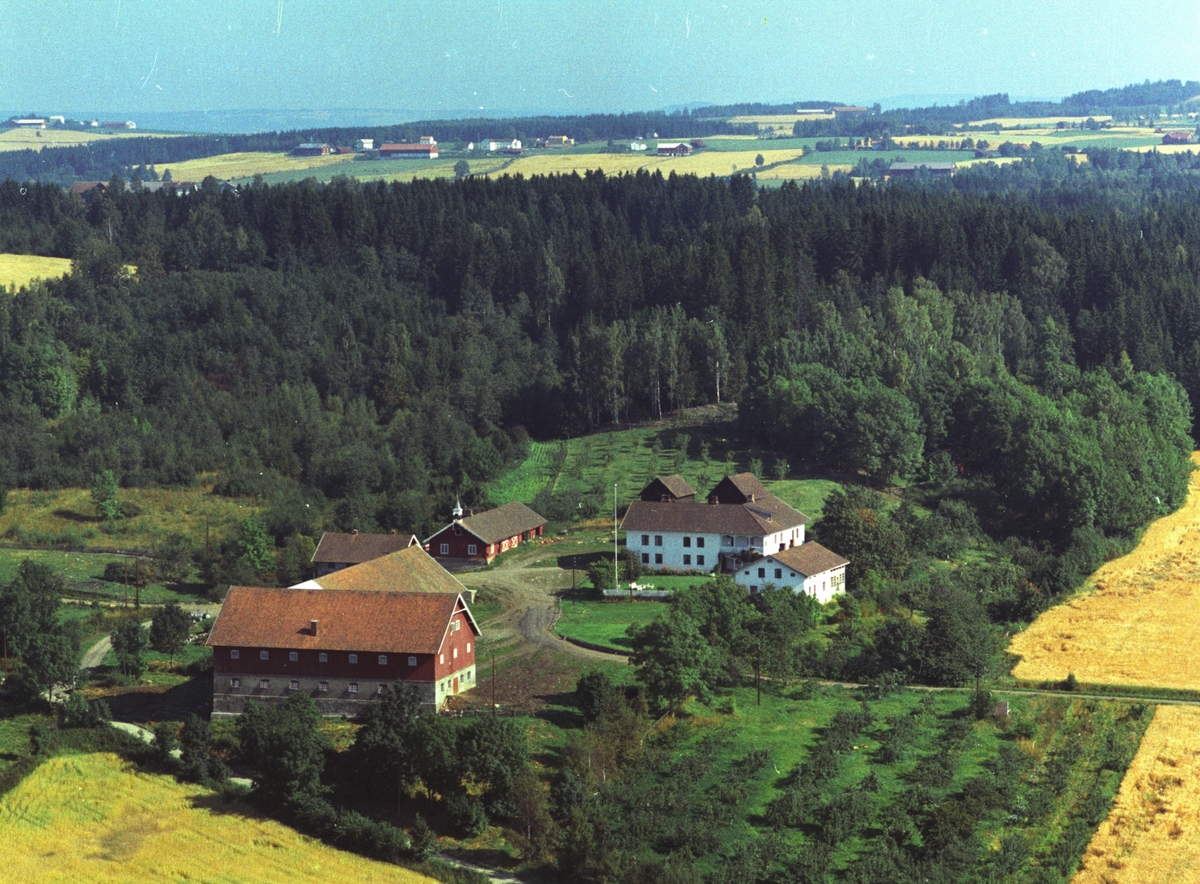Widerøes Flyveselskap A/S, Flyfoto av gården Mengshoel, Nes, Hedmark.