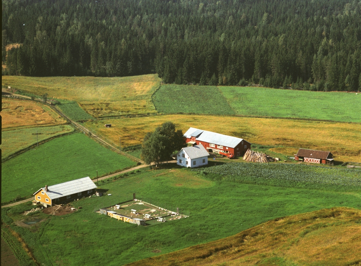 Widerøes Flyveselskap A/S, Flyfoto, Rønningen, Gaupen, Ringsaker.