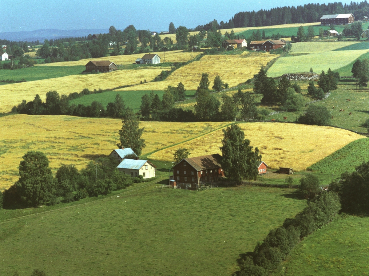 Widerøes Flyveselskap A/S, Flyfoto av Bakkom, Mengshoel med flere gårder i bakgrunn.