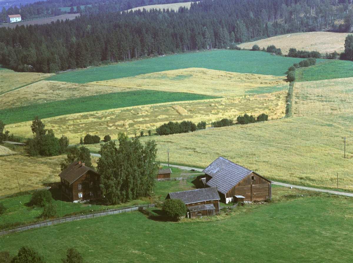 Widerøes Flyveselskap A/S, Flyfoto av Tangnes søndre, Gaupen, Hedmark.