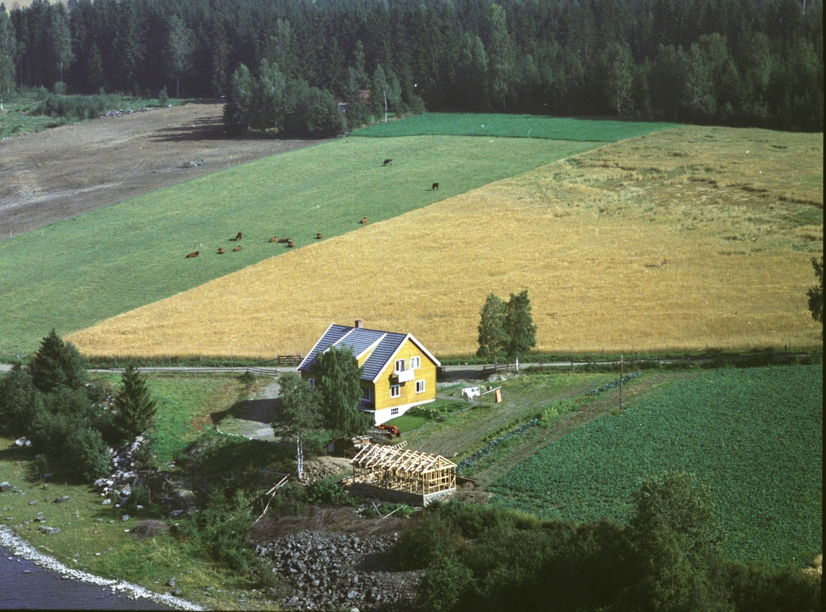 Widerøes Flyveselskap A/S, Flyfoto av føderådsbygning på Tangnes nordre, Gaupen, Hedmark.