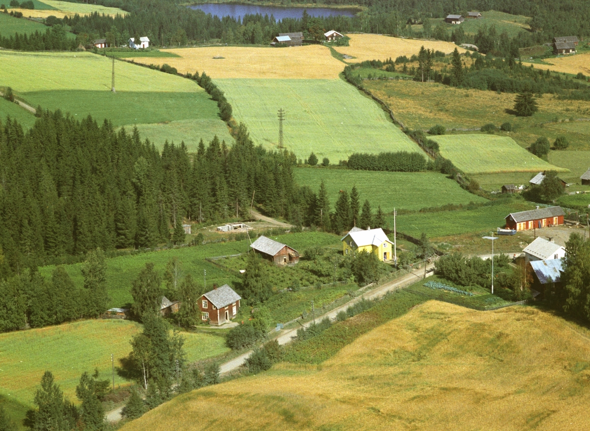 Widerøes Flyveselskap A/S, Flyfoto, Fagertun, Gaupen, Ringsaker.