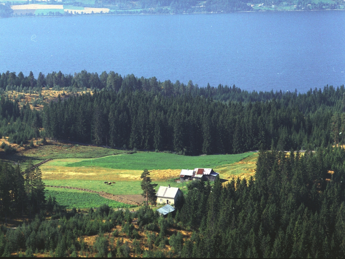 Widerøes Flyveselskap A/S, Flyfoto, ukjent (trolig Nyborg, husmannsplass på Tjerne), Gaupen, Ringsaker.