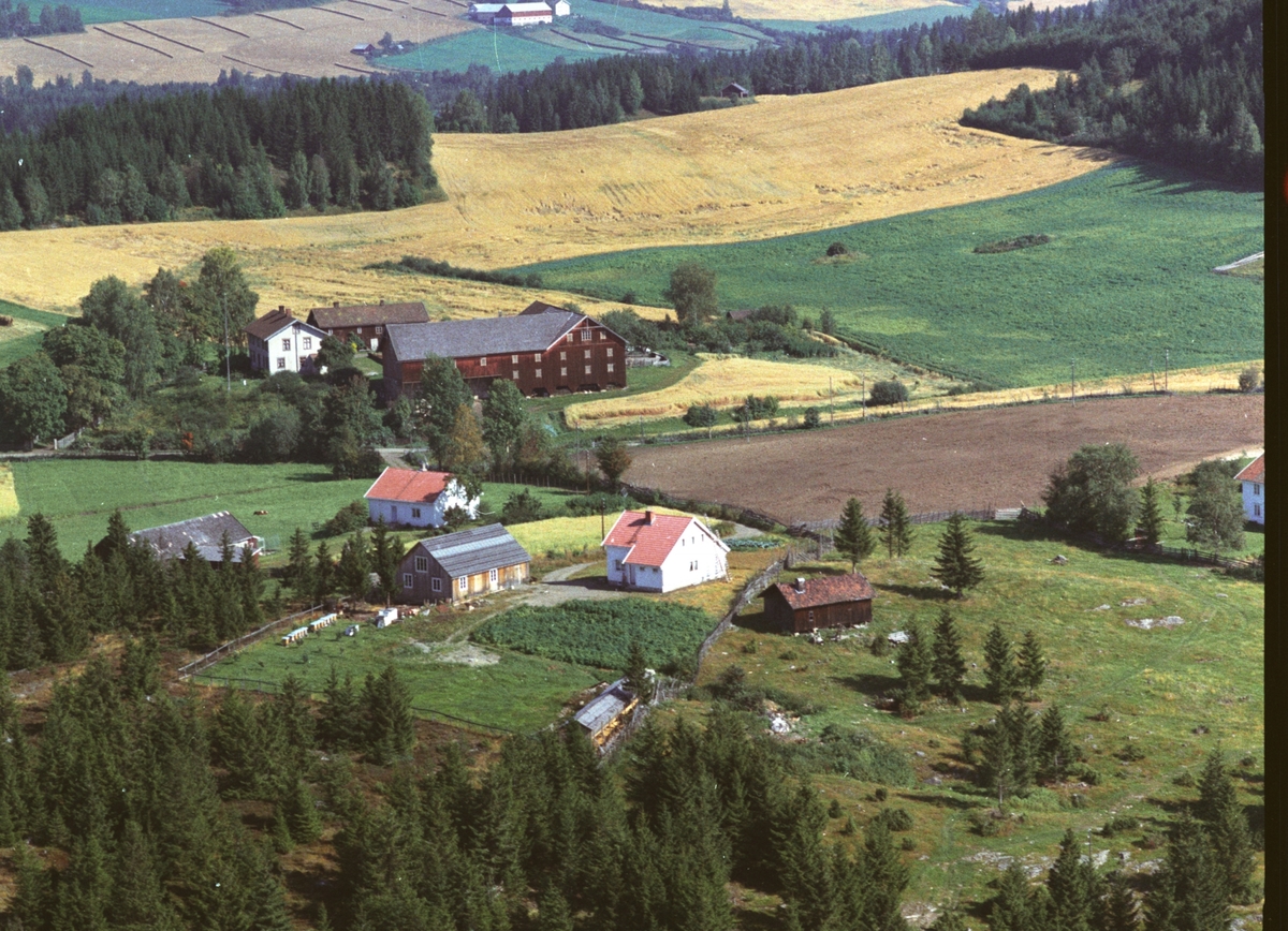 Widerøes Flyveselskap A/S, Flyfoto, Fjellhaug, Seberg gard i bakgrunn, Gaupen, Ringsaker. Gården midt på bilde er Tajet, opprinnelig en husmannsplass under gården Samsahl.