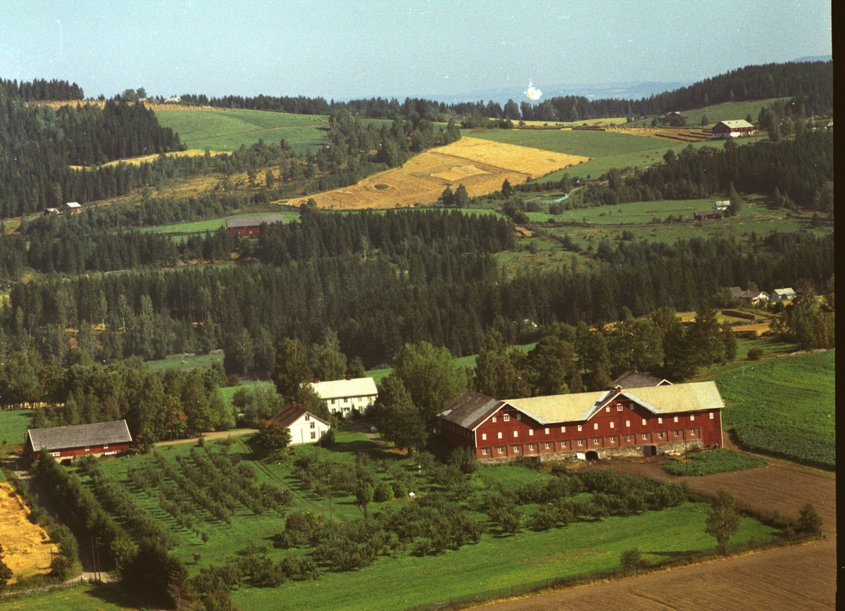 Widerøes Flyveselskap A/S, Flyfoto, Saustad østre, Ringsaker.