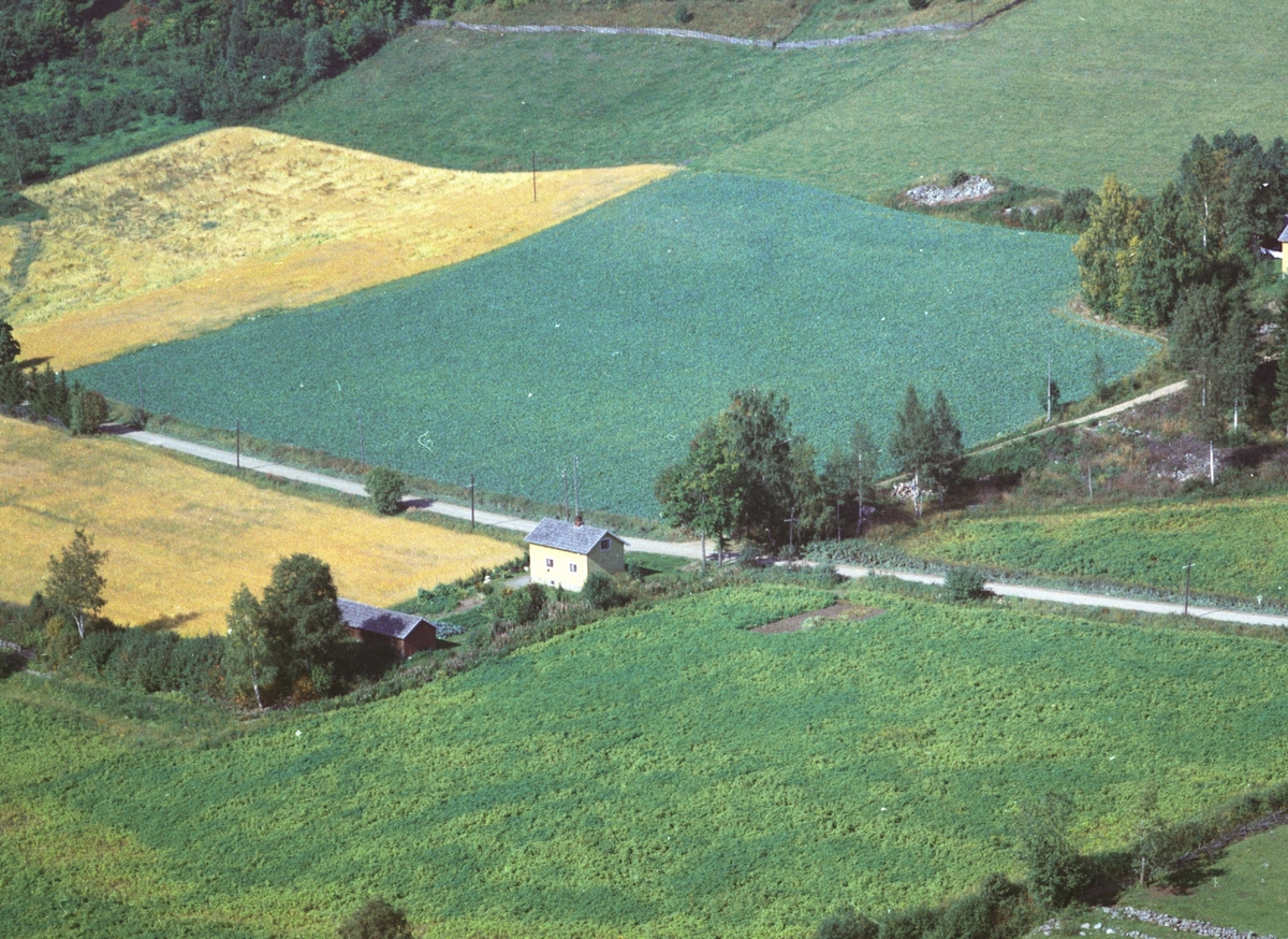 Widerøes Flyveselskap A/S, Flyfoto, Ringsaker. Rudshøgda. Sveiserboligen på Bolstad Gård.