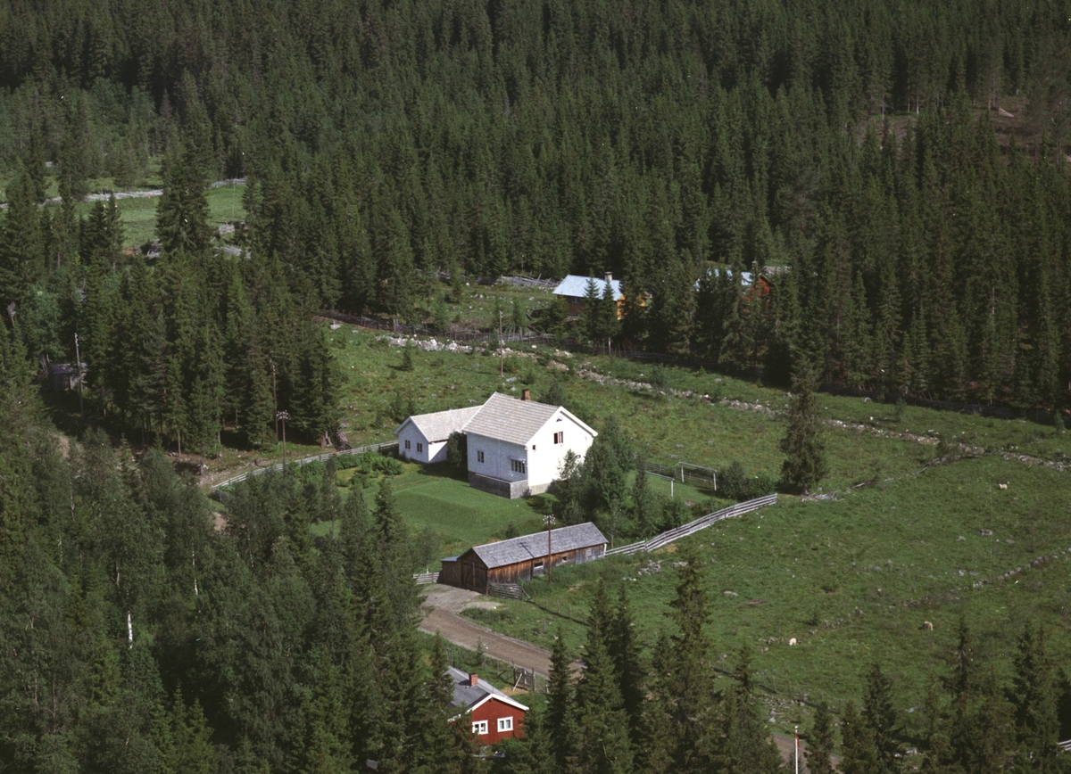 Widerøes Flyveselskap A/S, Flyfoto, bebyggelse, Bergundhaugen, Ringsaker.