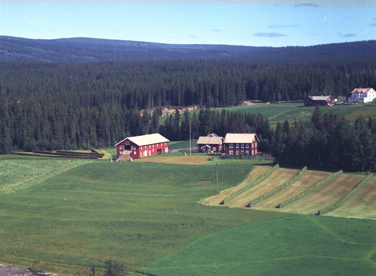 Widerøes Flyveselskap A/S, Flyfoto, Mesna søndre, Mesnalia, Ringsaker.