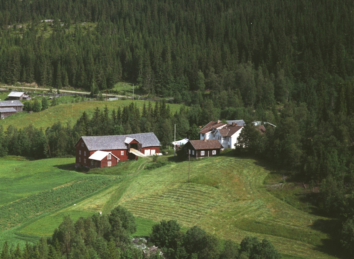 Anno Domkirkeodden, Flyfoto, Bjørkhaugen nordre, Mesnalia, Ringsaker.