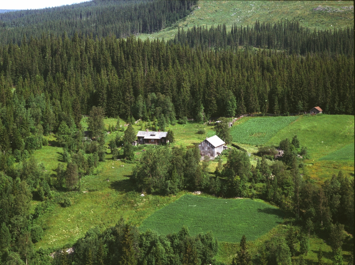 Widerøes Flyveselskap A/S, Flyfoto, Solbakken, Mesnalia, Ringsaker.