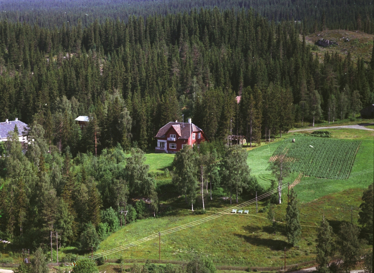 Widerøes Flyveselskap A/S, Flyfoto av Mesnalia kursted, Ringsaker, med omegn. Overlegeboligen.