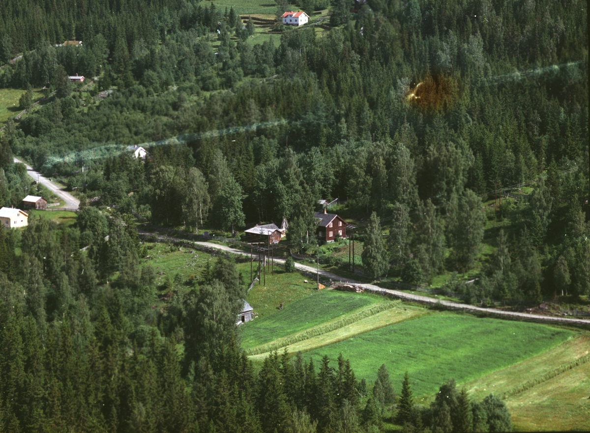 Widerøes Flyveselskap A/S, Flyfoto, bebyggelse langs Nordmessenvegen, Mesnalia, Ringsaker.