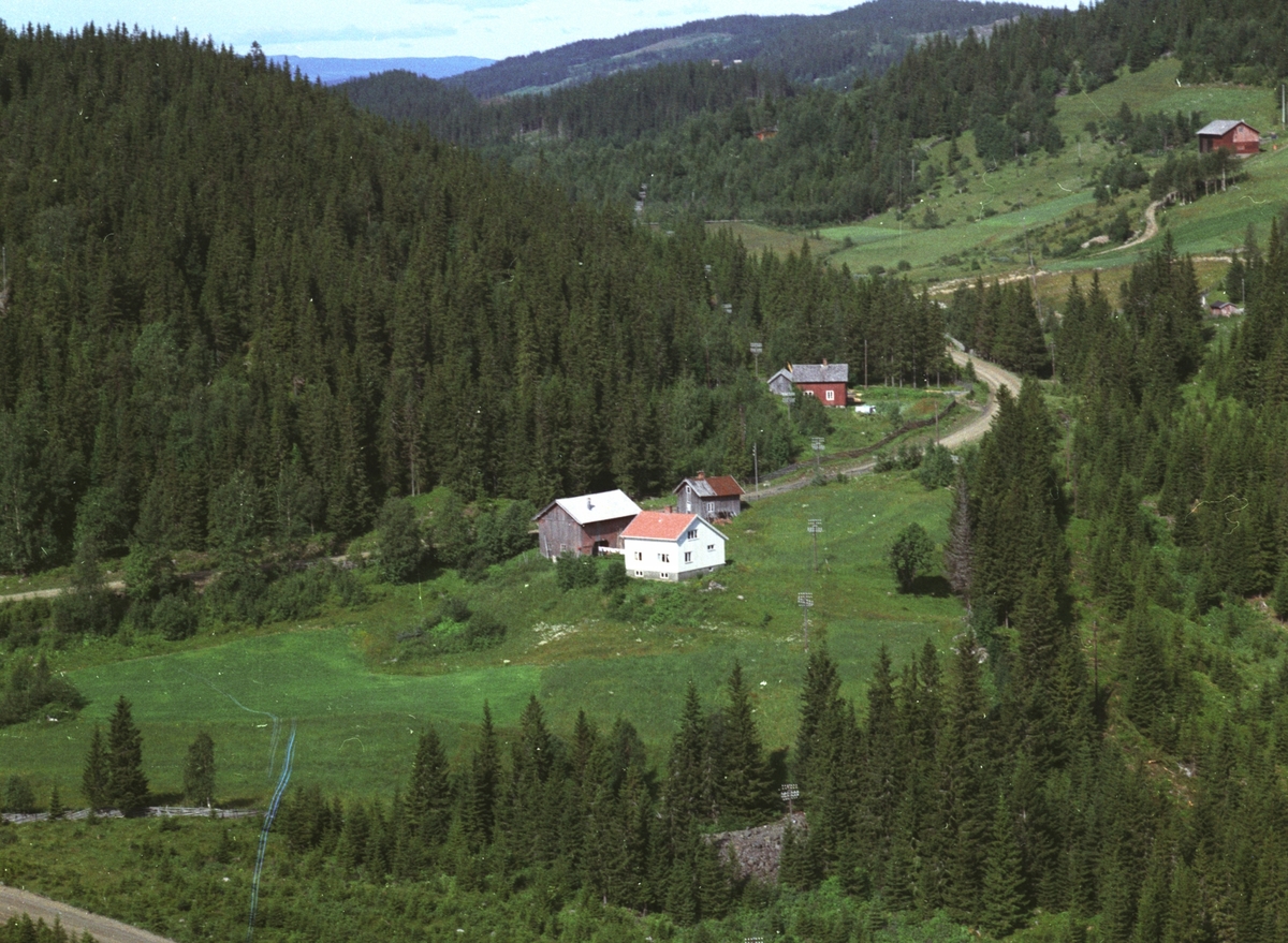 Widerøes Flyveselskap A/S, Flyfoto, Røysli, Mesnalia, Ringsaker.