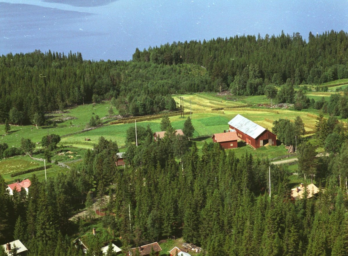Widerøes Flyveselskap A/S, Flyfoto, Arnestad, Mesnalia, Ringsaker.