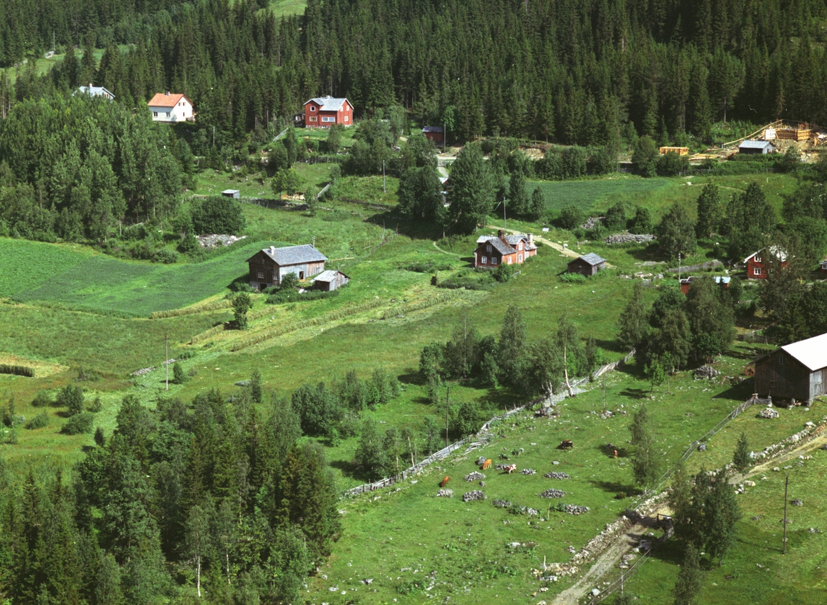 Widerøes Flyveselskap A/S, Flyfoto, Jordet, Øverjordet, Nerjordet, Mesnalia, Ringsaker.