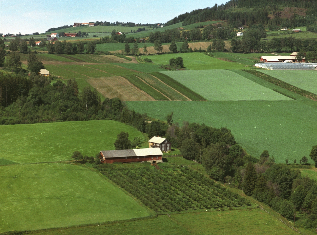 Widerøes Flyveselskap A/S, Flyfoto, småbruk, Bakken, Nes, Hedmark.