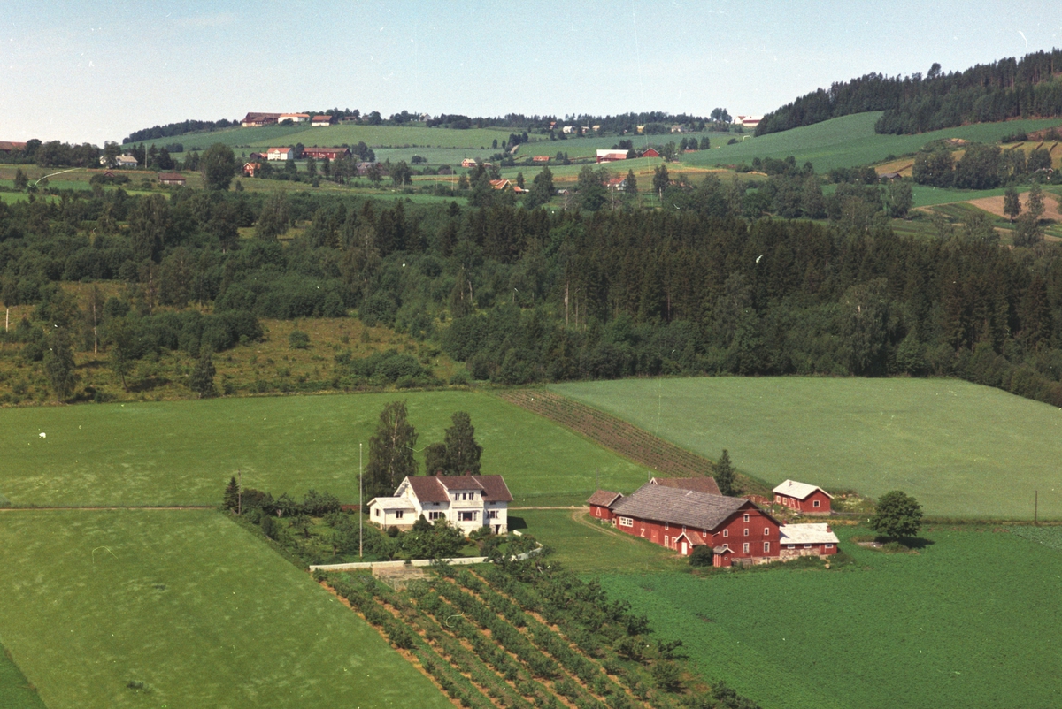 Widerøes Flyveselskap A/S, Flyfoto, gardsbruk, Slåtten, Nes, Hedmark.