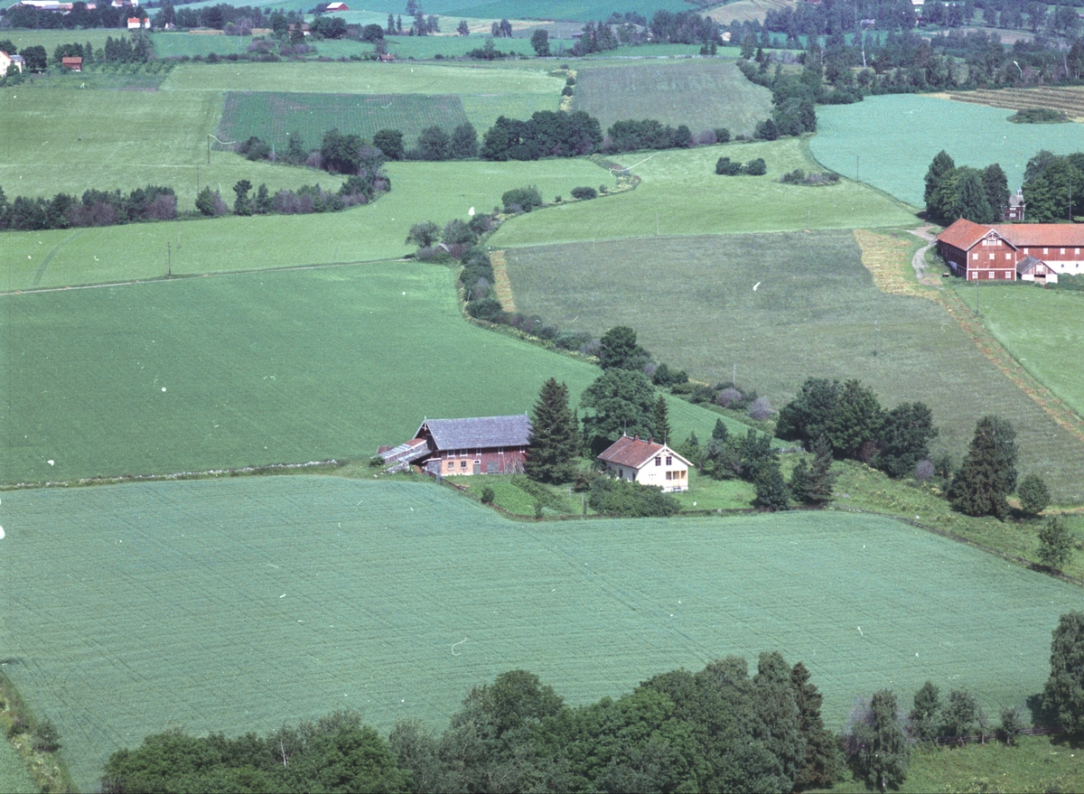 Widerøes Flyveselskap A/S, Flyfoto, småbruk, Skjelve lille, Nes, Hedmark.