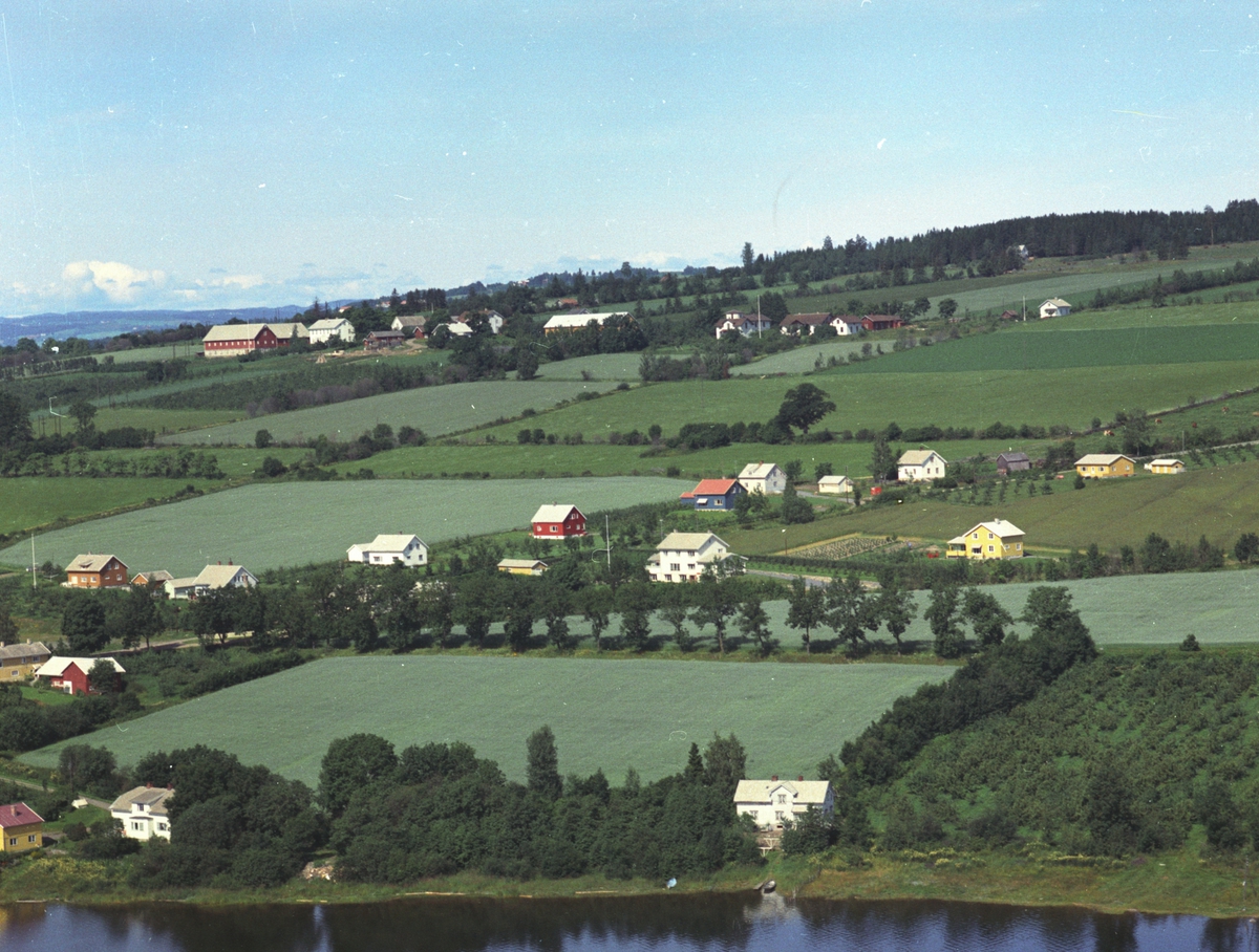 Widerøes Flyveselskap A/S, Flyfoto, bebyggelse, Tingnes, frukttrær, Nes, Hedmark.