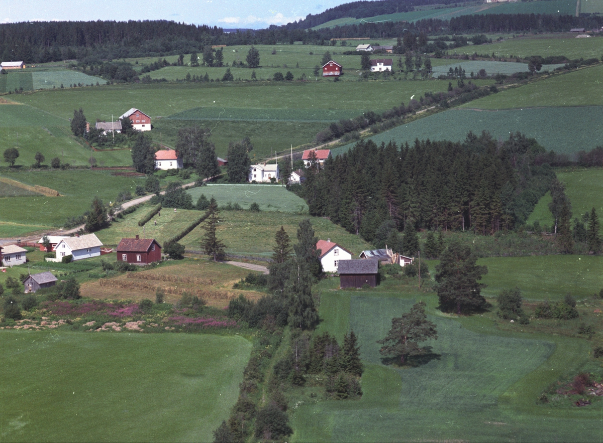 Widerøes Flyveselskap A/S, Flyfoto, bebyggelse ved Bryggevegen, Nes, Hedmark.