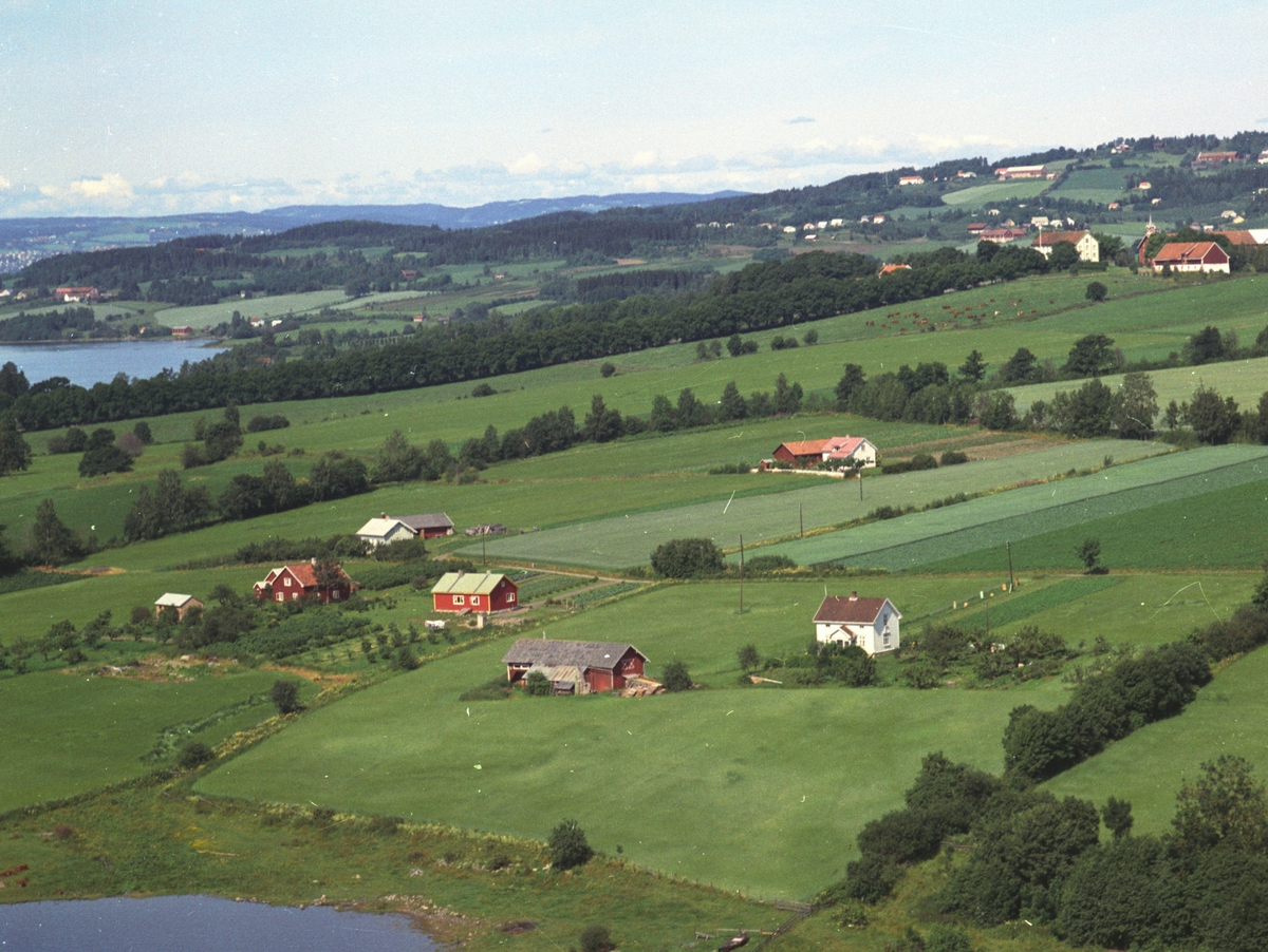 Widerøes Flyveselskap A/S, Flyfoto, småbruk, Mariendal, Nes, Hedmark.