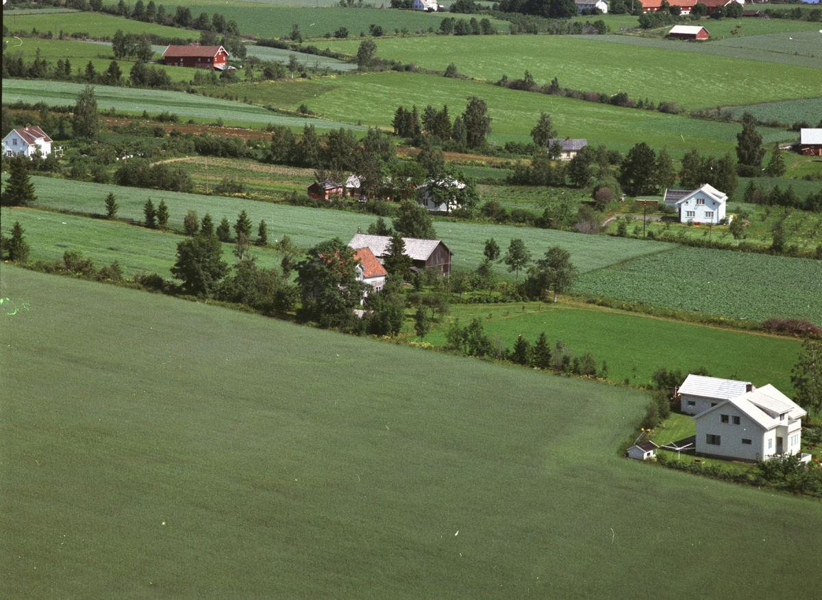 Widerøes Flyveselskap A/S, Flyfoto, landskap med spredt bebyggelse, landbruk, Nes, Hedmark.