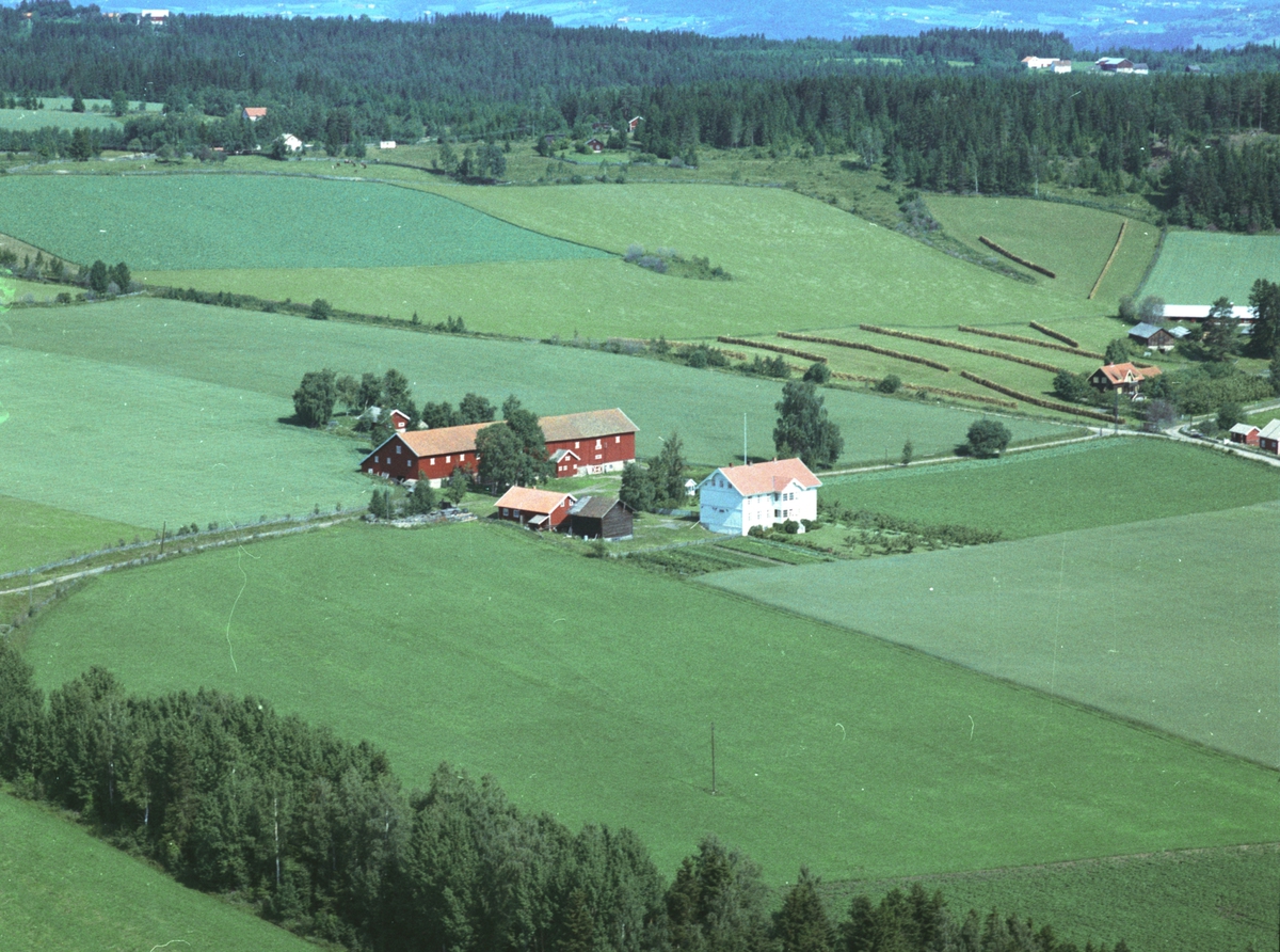 Widerøes Flyveselskap A/S, Flyfoto, gardsbruk, Ousdal nedre, Duengerhøgda 609, Nes, Hedmark.