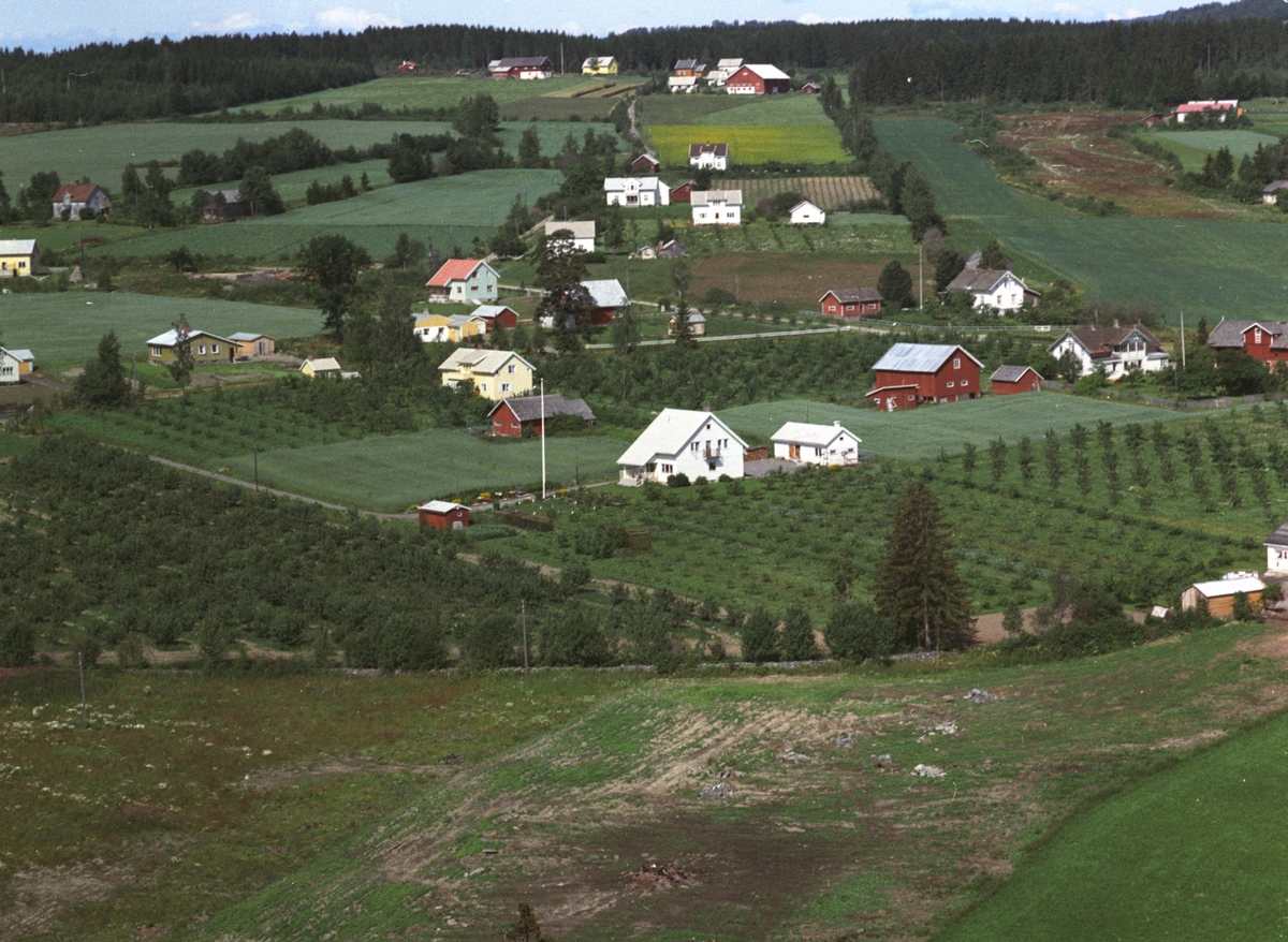 Widerøes Flyveselskap A/S, Flyfoto, bebyggelse, frukttrær, Nes, Hedmark.