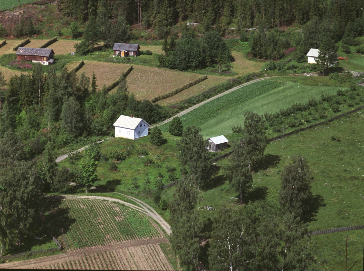 Widerøes Flyveselskap A/S, Flyfoto av Tangli under Haug nedre. Bak til venstre er Søberg. Til høyre er Tangen.