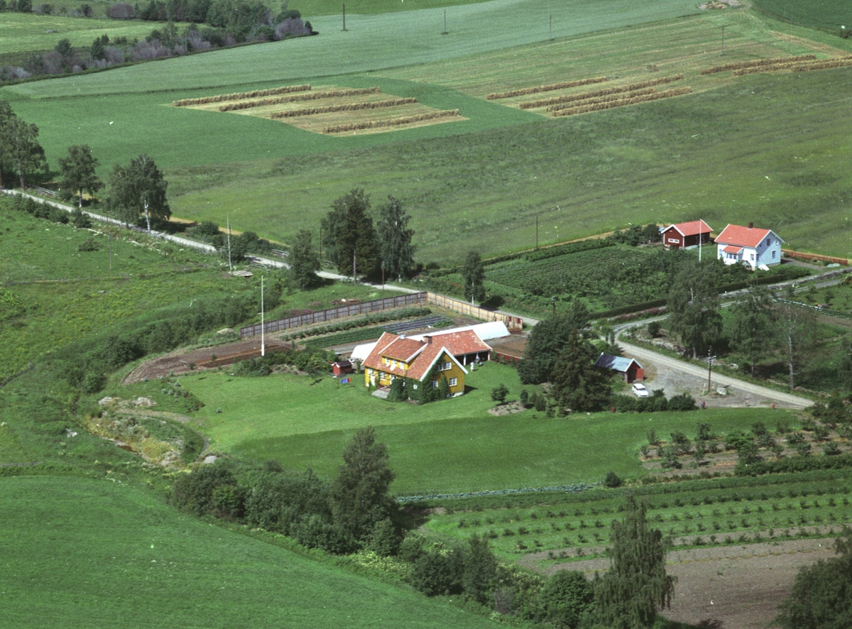 Widerøes Flyveselskap A/S, Flyfoto av Haug nedre, Haug under Kvam til høyre, planteskole, Nes, Hedmark.