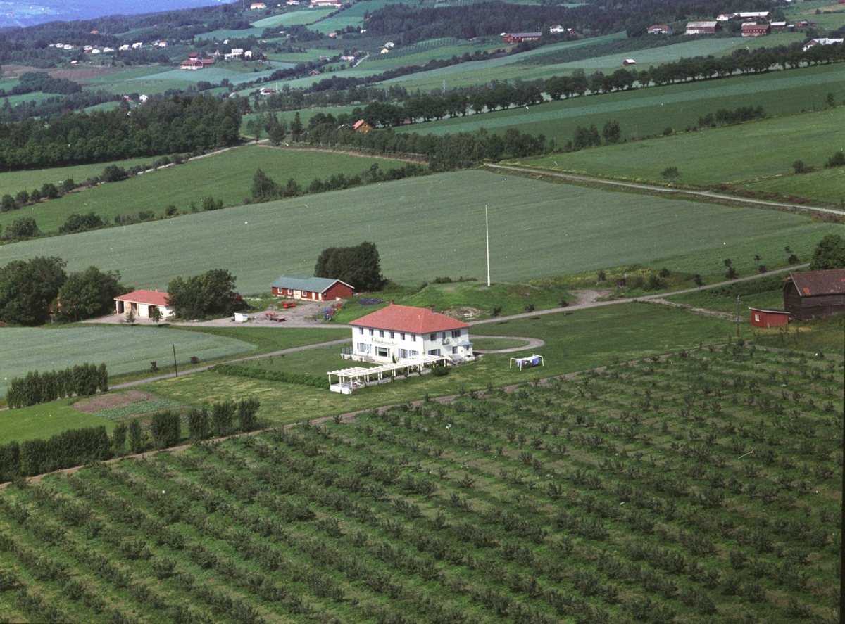 Widerøes Flyveselskap A/S, Flyfoto, gardsbruk, Skinstad, Nes, Hedmark.