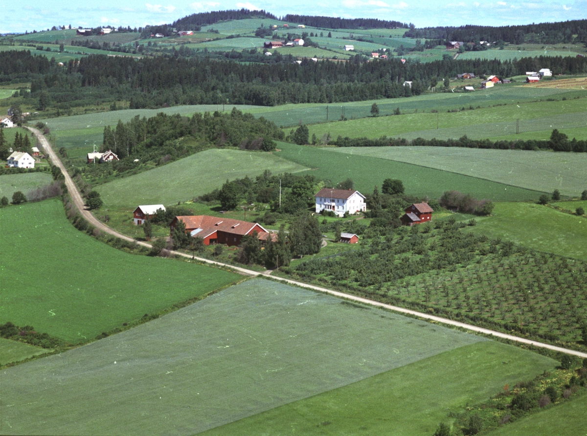 Widerøes Flyveselskap A/S, Flyfoto, gardsbruk, Sølvsberg østre, Nes, Hedmark.