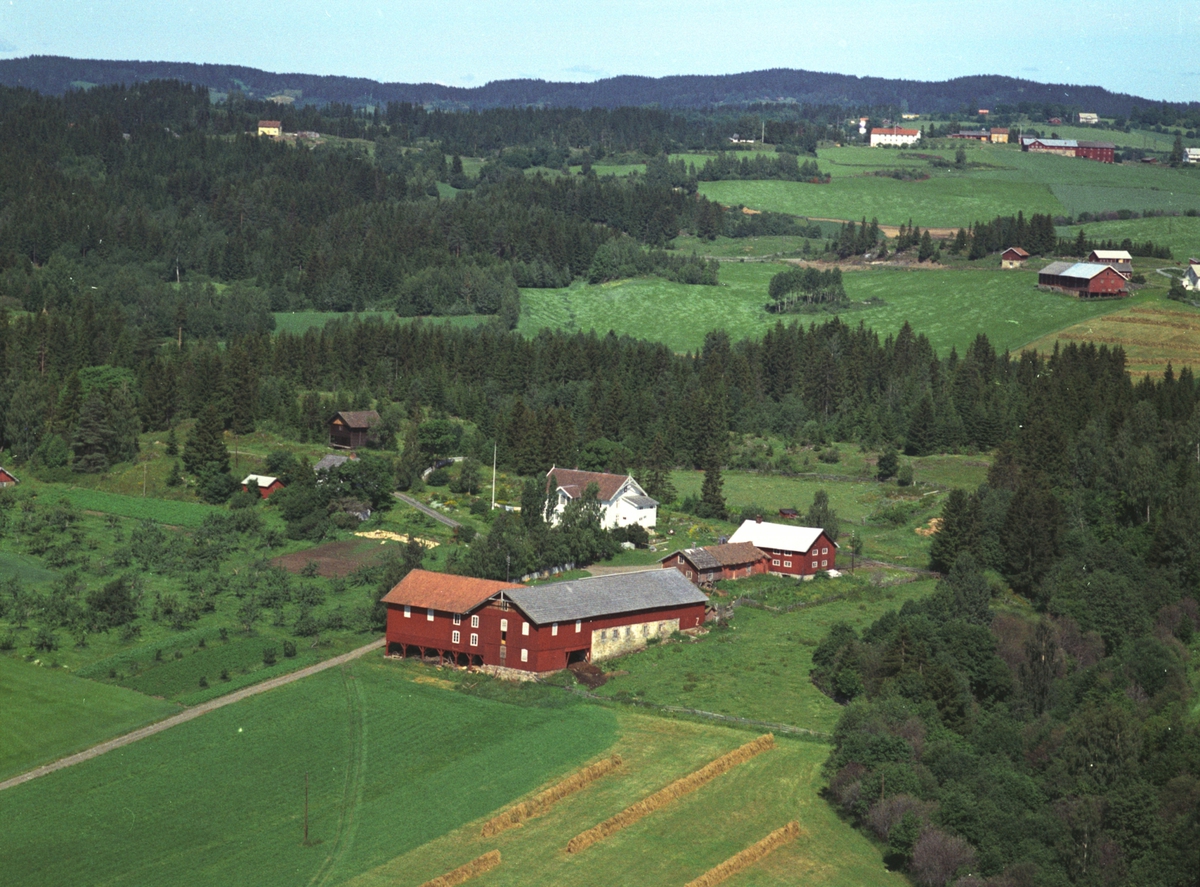 Widerøes Flyveselskap A/S, Flyfoto, gardsbruk, Bjørnstad, Nes, Hedmark.