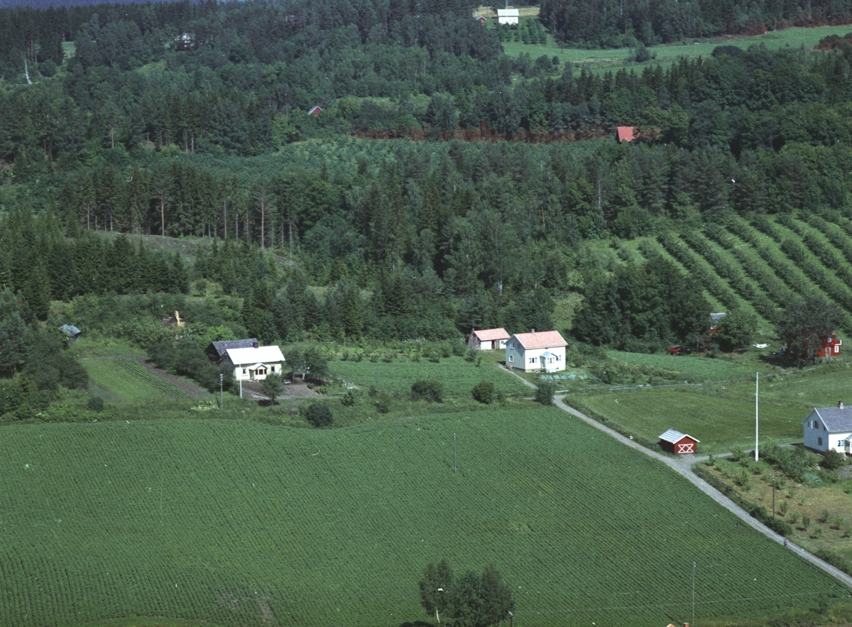 Widerøes Flyveselskap A/S, Flyfoto, bolig, Vestheim, Nes, Hedmark.