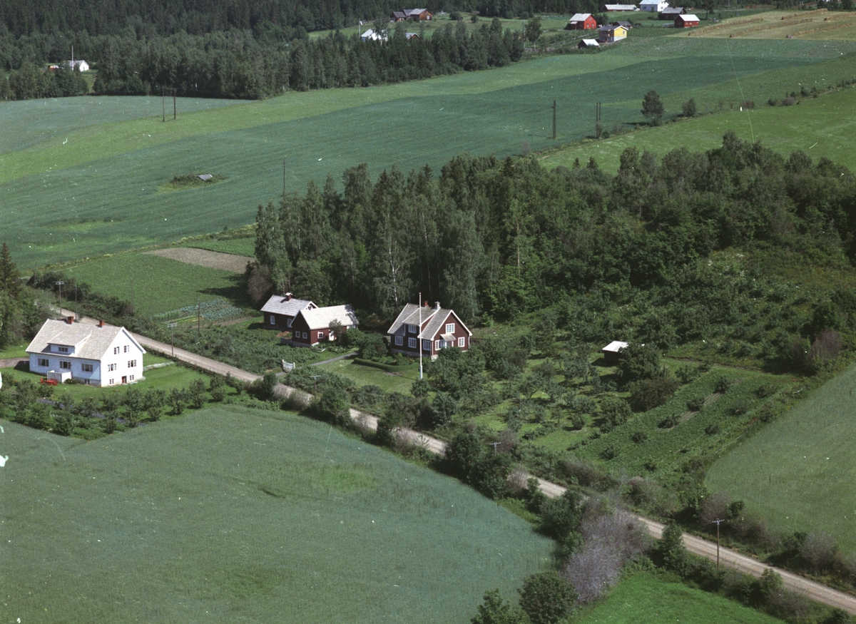 Widerøes Flyveselskap A/S, Flyfoto, boliger, småbruk, Hasselbakken, Nes, Hedmark.