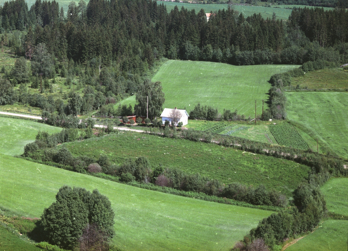 Widerøes Flyveselskap A/S, Flyfoto, bolig ved Tingnesvegen, Nes, Hedmark.