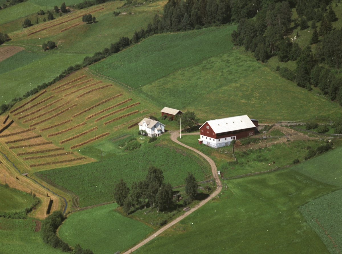 Widerøes Flyveselskap A/S, Flyfoto av Skalmerud, Stavsjø, Hedmark.